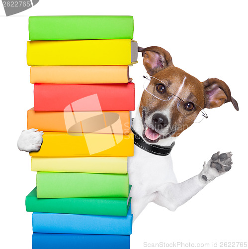 Image of dog and books