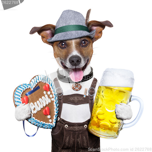 Image of oktoberfest dog