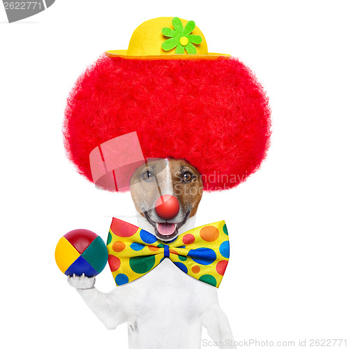 Image of clown dog with red wig and hat