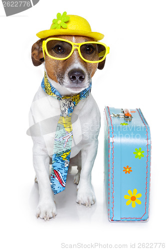 Image of vacation tourist dog