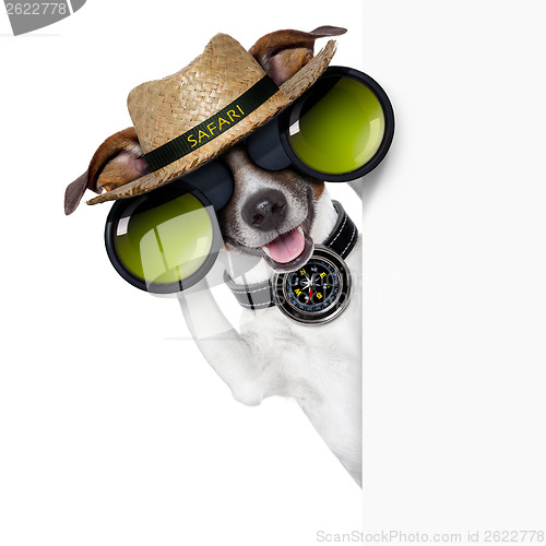 Image of safari dog