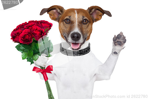 Image of valentine dog  