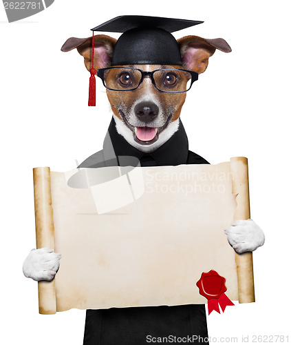 Image of garduate dog 