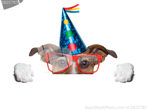 Image of birthday dog