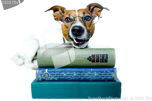 Image of dog reading book 