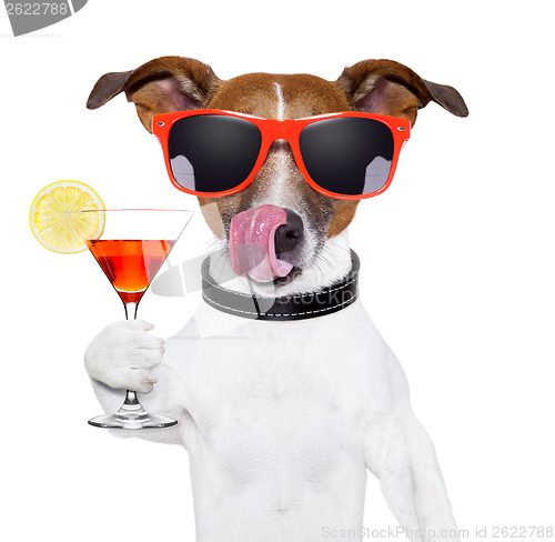 Image of dog with cocktail