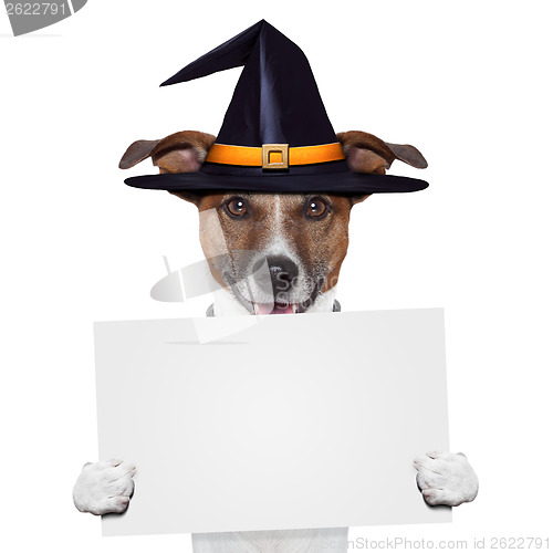 Image of halloween placeholder banner dog