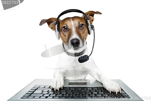 Image of dog computer pc tablet