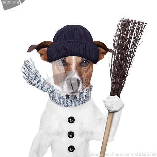 Image of rain broom dog