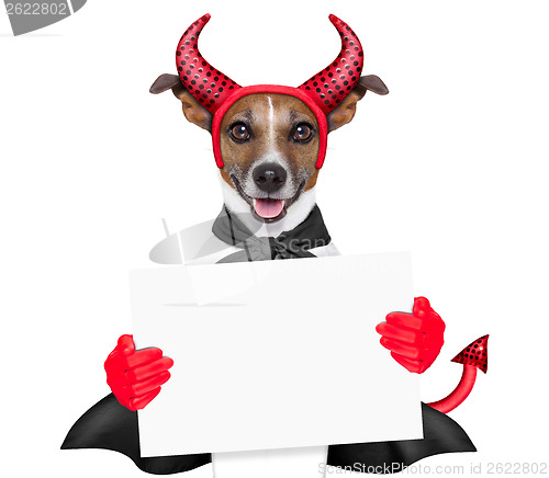 Image of devil dog 