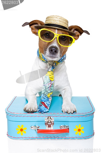 Image of vacation tourist dog
