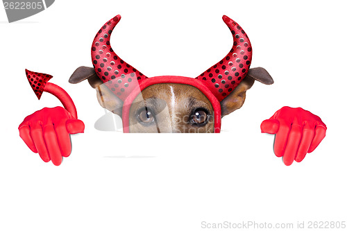 Image of devil dog 