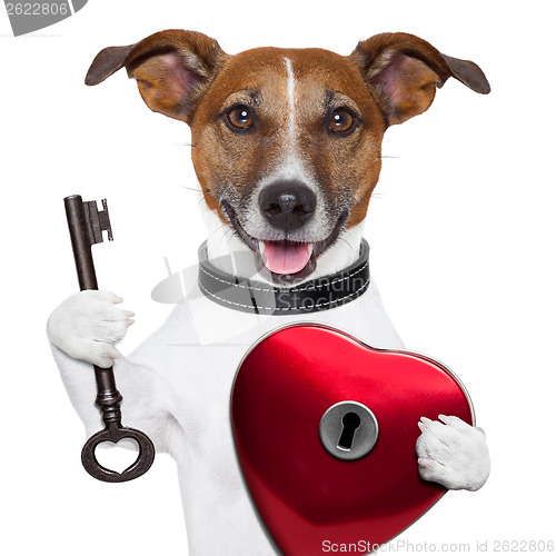 Image of valentine dog  , unlock my heart