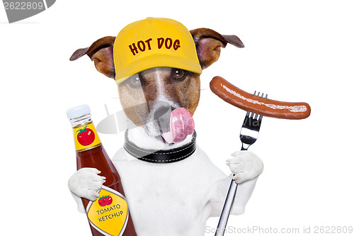 Image of fast food hungry dog