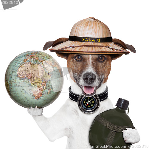Image of travel globe compass dog safari