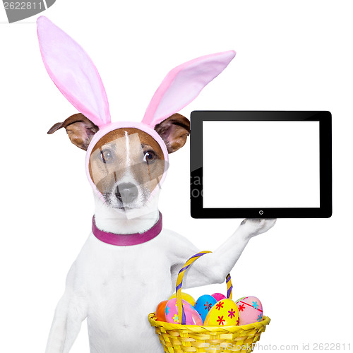 Image of  funny easter dog