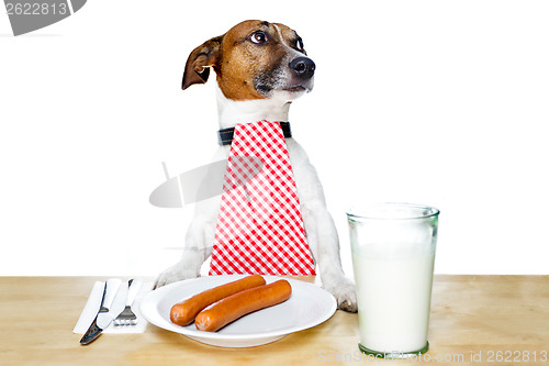 Image of dinner meal at table dog 