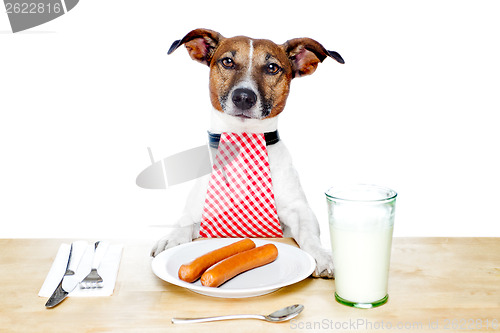 Image of dinner meal at table dog 