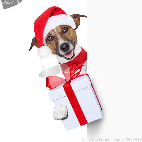 Image of hello goodbye christmas  dog 