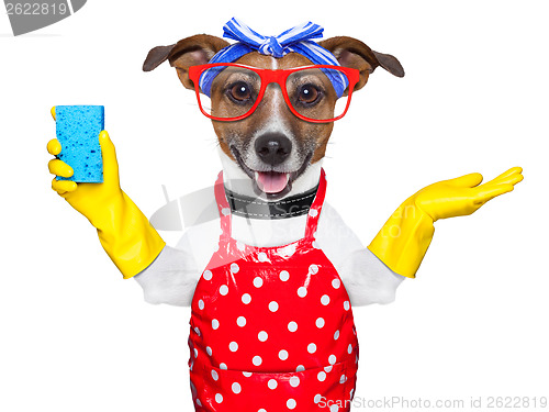 Image of housewife dog 