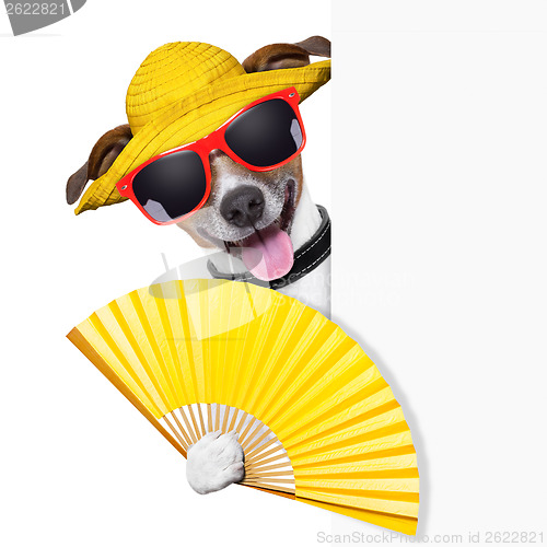 Image of summer cocktail dog