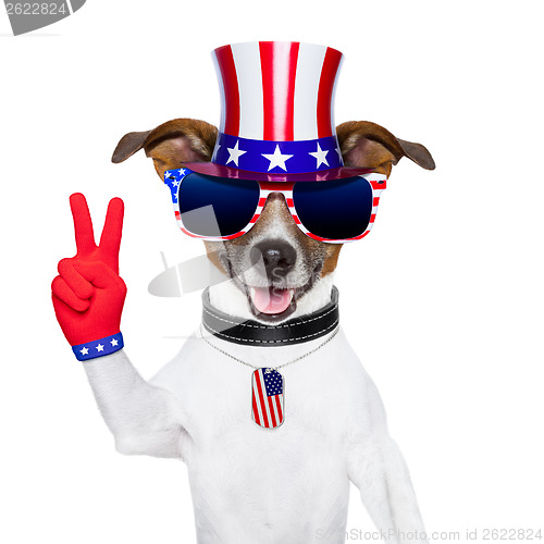 Image of usa american dog 