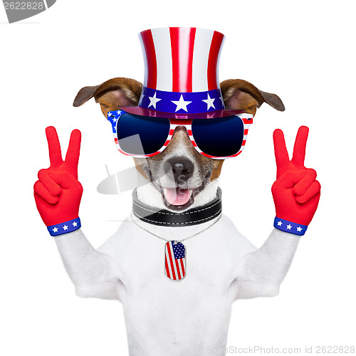 Image of usa american dog 