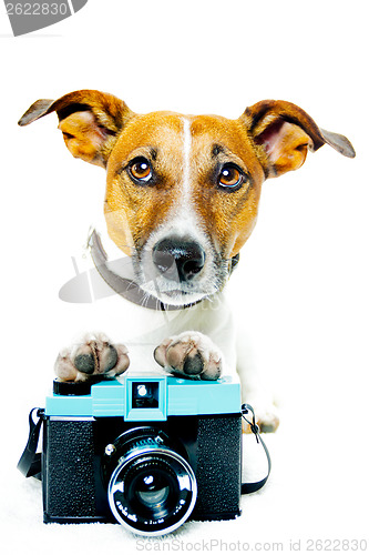 Image of dog photo camera