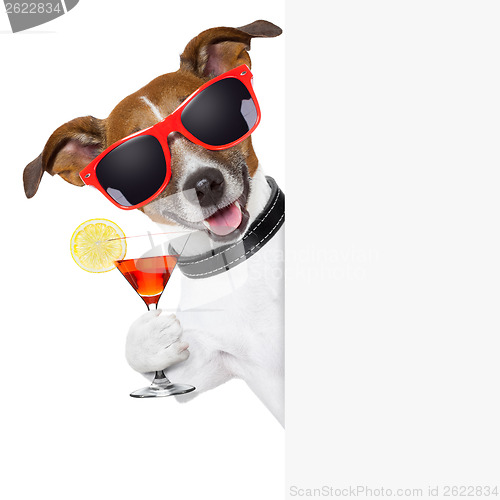 Image of funny cocktail dog 