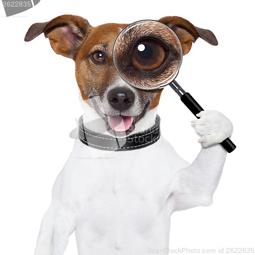 Image of dog with magnifying glass