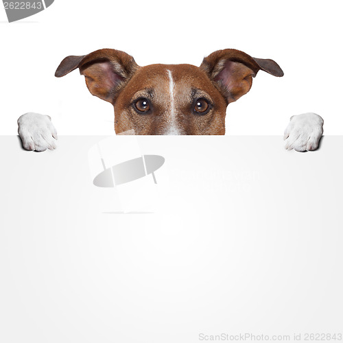 Image of placeholder banner dog