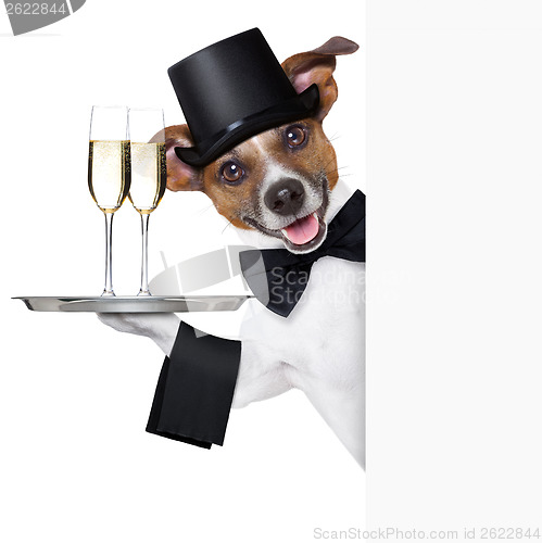 Image of dog toasting