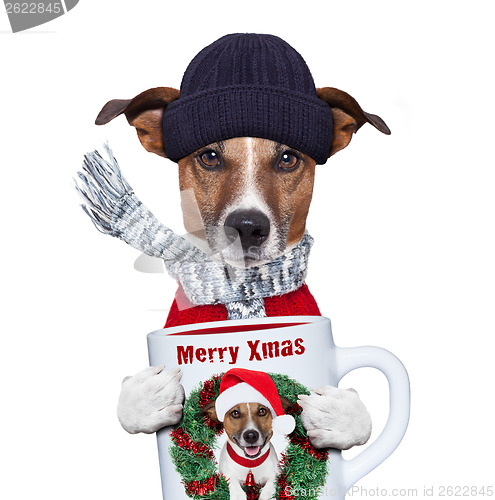 Image of christmas dog with cup