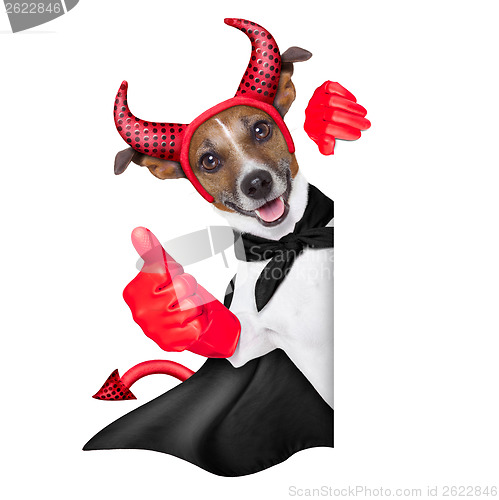 Image of devil dog 