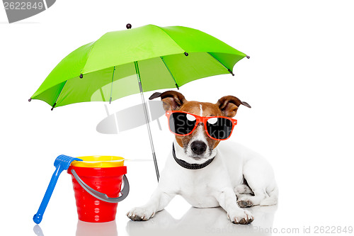 Image of dog sunbathing with umbrella