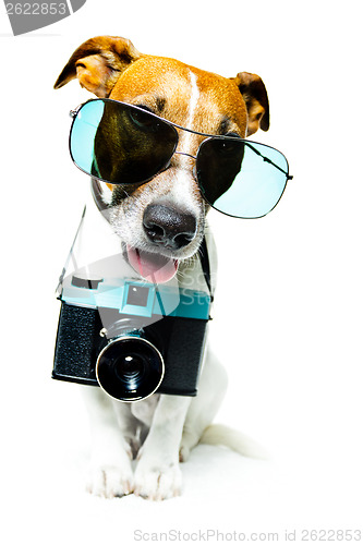 Image of dog photo camera