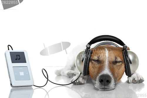 Image of Dog listen to music with a music player