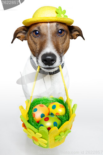 Image of Dog holding colorful easter basket 