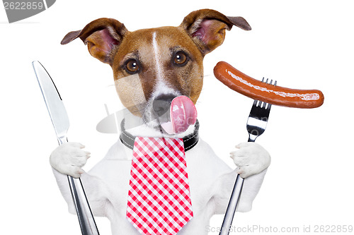 Image of dinner dog 