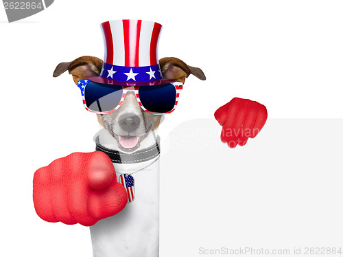 Image of usa american dog 