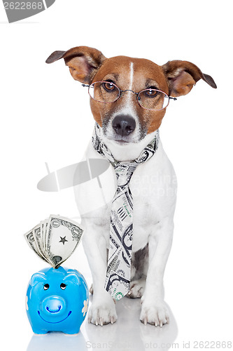 Image of dog with piggy bank