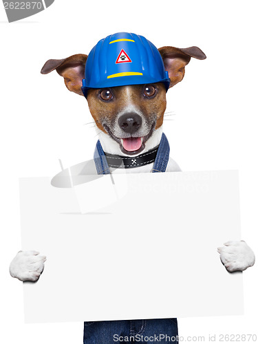 Image of Craftsman dog 