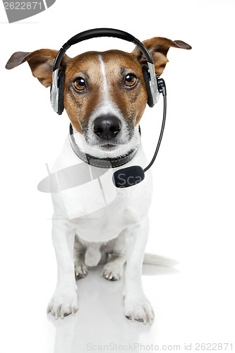 Image of dog headset