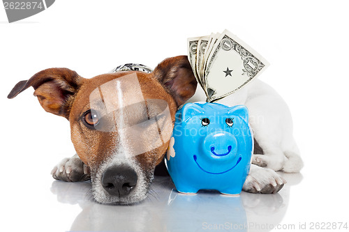 Image of dog with piggy bank