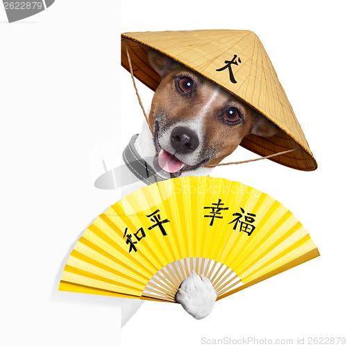 Image of asian dogs