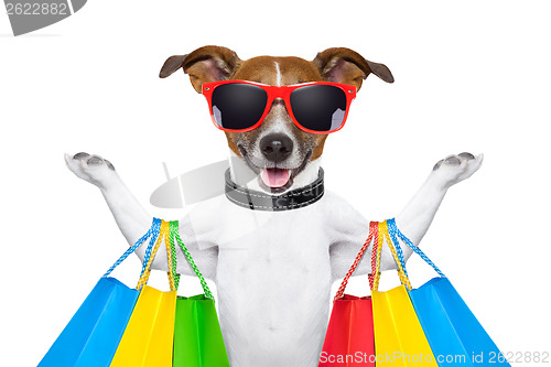 Image of shopping dog