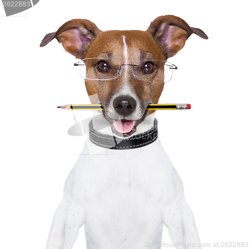 Image of dog pencil