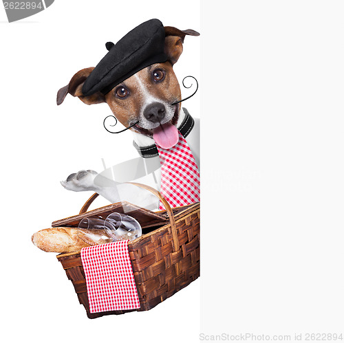 Image of french dog