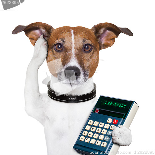 Image of Successful dog accountant 