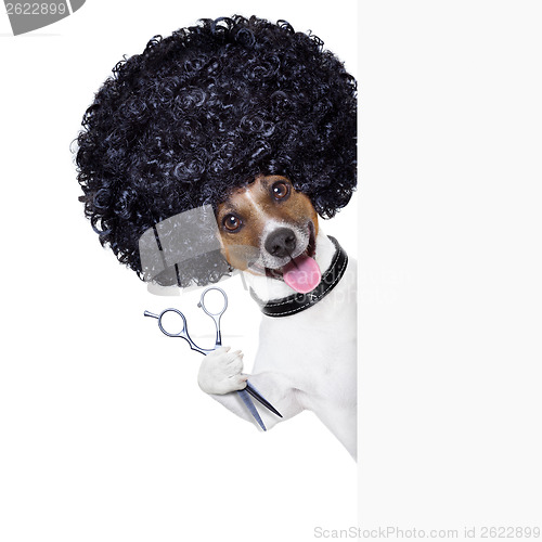 Image of hairdresser   dog 